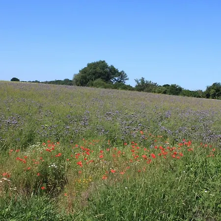 Feriendomizil Lotta Und Michel Casa de Férias Hof Barendorf