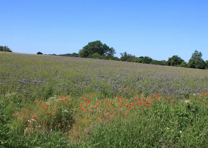 Feriendomizil Lotta Und Michel Feriehus Hof Barendorf